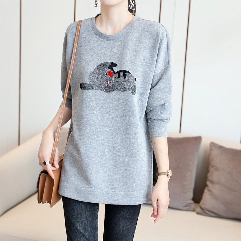Flocking sequins round neck thick cotton T women's 2022 new early spring design sense female niche thin loose casual top