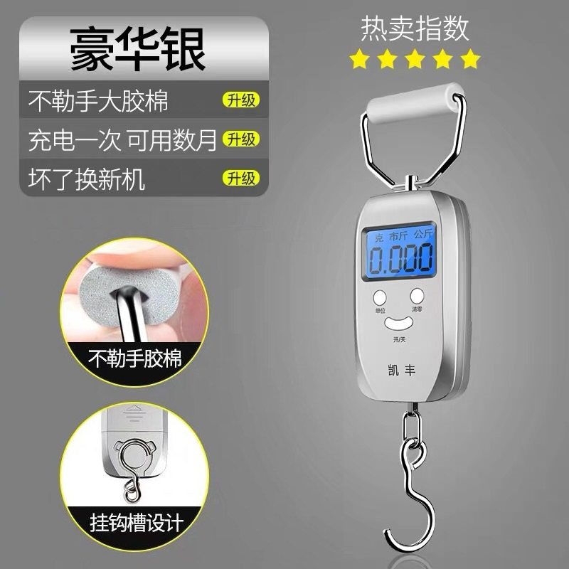 Handsome portable express is called electronic hand with 50kg high precision hook spring scales mini - called conscience fair scale