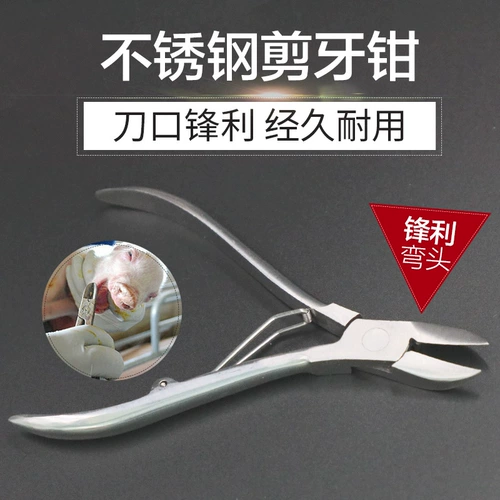 Восемь MU из нержавеющей стали разрезание зуб