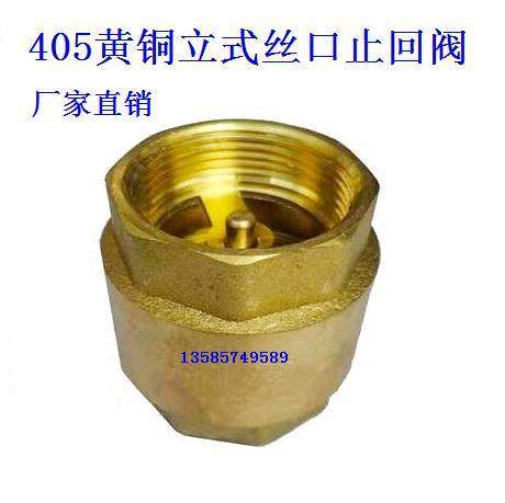 Full copper internal and external silk check valve 4 points 6 points 1 inch water pipe Water meter spring backstop valve vertical stop check valve