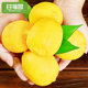 Sichuan Anyue Yellow Lemon Fresh Peel Thin First Grade Seedless Perfume Fresh Sweet Picked Green Lemon Fruit 5Jin [Jin equals 0.5kg]