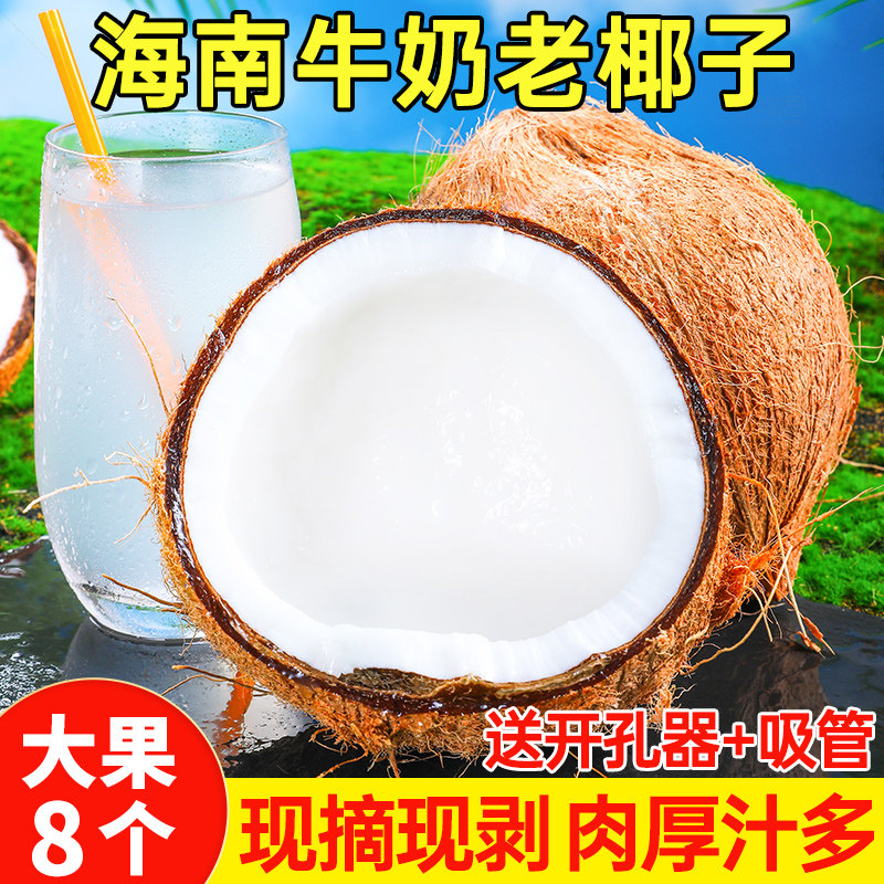 海南牛奶老椰子8个新鲜当季水果去皮椰青椰宝毛椰子煲汤榨汁椰皇，让你喝出夏日清爽！-椰青-淘宝好物网