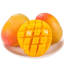 Fresh apple mango 10 pounds Australian mango tropical fruit in season Kate mango sweet mango selected large fruit whole box