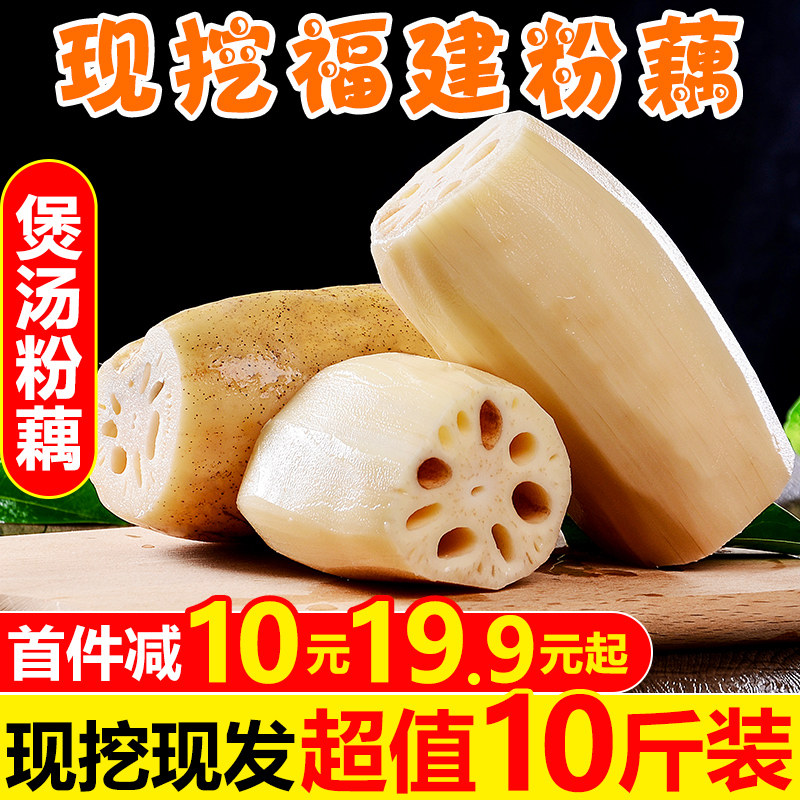 Fujian fresh powder lotus root 10 pounds of fresh digging lotus root farmhouse specialty nine holes crisp lotus white tender root soup vegetables