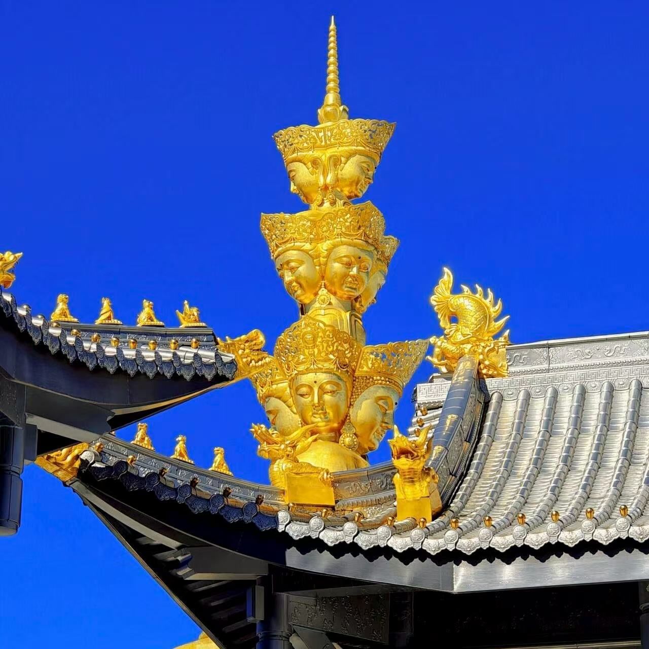 长治出发郑州跟团游，2025年最新攻略全解析？