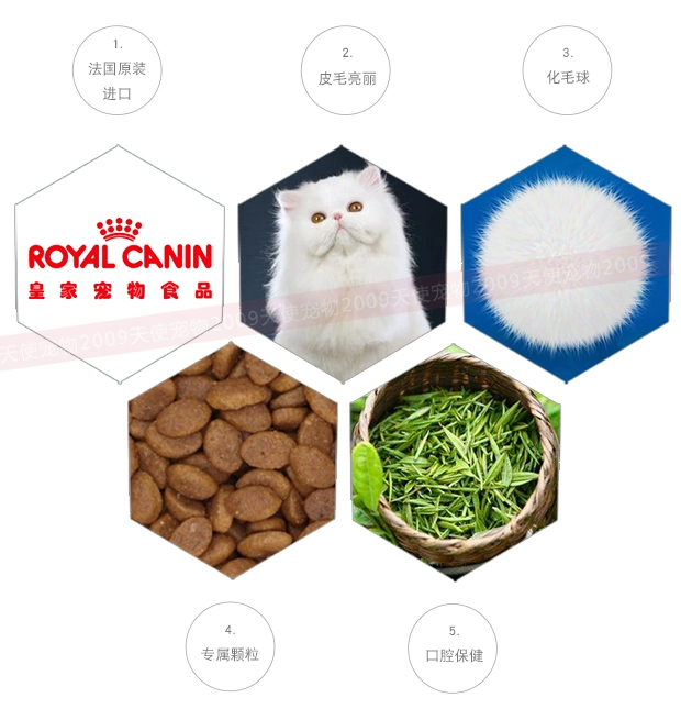 Tại chỗ! Vật nuôi thiên thần | Pháp nhập khẩu Royal Royal Cat Food Thức ăn cho mèo Ba Tư P30 2kg - Cat Staples