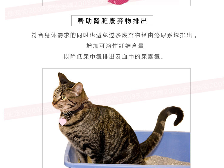 Đồi bán trước "> <loại đầu vào = - Cat Staples hạt zenith cho mèo