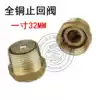Copper inner and outer wire 1 inch 32mm inner and outer wire copper check valve Water pipe water meter check valve Spring check valve