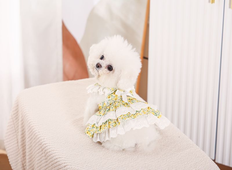 Pet Clothes Spring and Summer Floral Tutu Skirt Teddy Bichon Dog Cat Lace Princess Dress Breathable