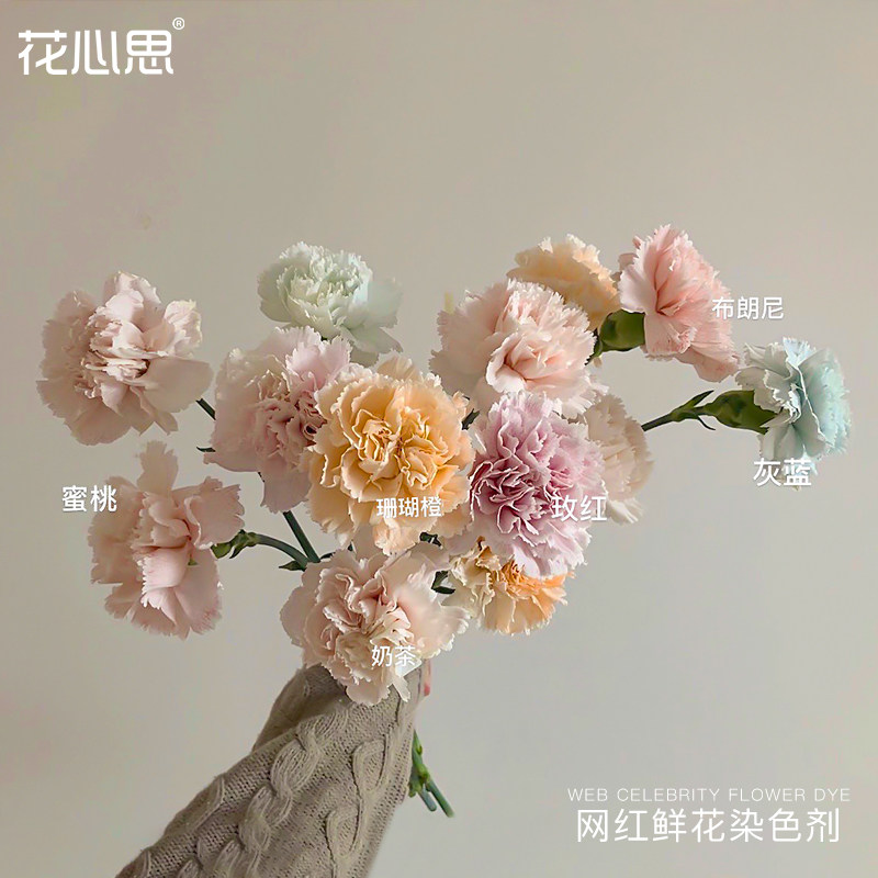 網紅diy鮮花染髮劑吸染馬卡龍玫瑰乾燥花吸色劑專用染花染料培養液