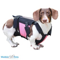 American pet dog back spondylitis Lumbar disc injury degeneration Surgery recovery fixed support Relief waist support