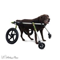 Dog wheelchair Four-wheeled pet paralysis disability Broken leg Front and rear limbs Scooter Folding high rehabilitation assistance Large dog