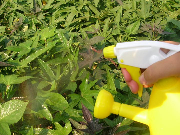 Dụng cụ làm vườn Bình xịt 900ml tưới bằng tay có thể làm ẩm chậu tưới nước có thể phun kép - Nguồn cung cấp vườn bình xịt tưới cây