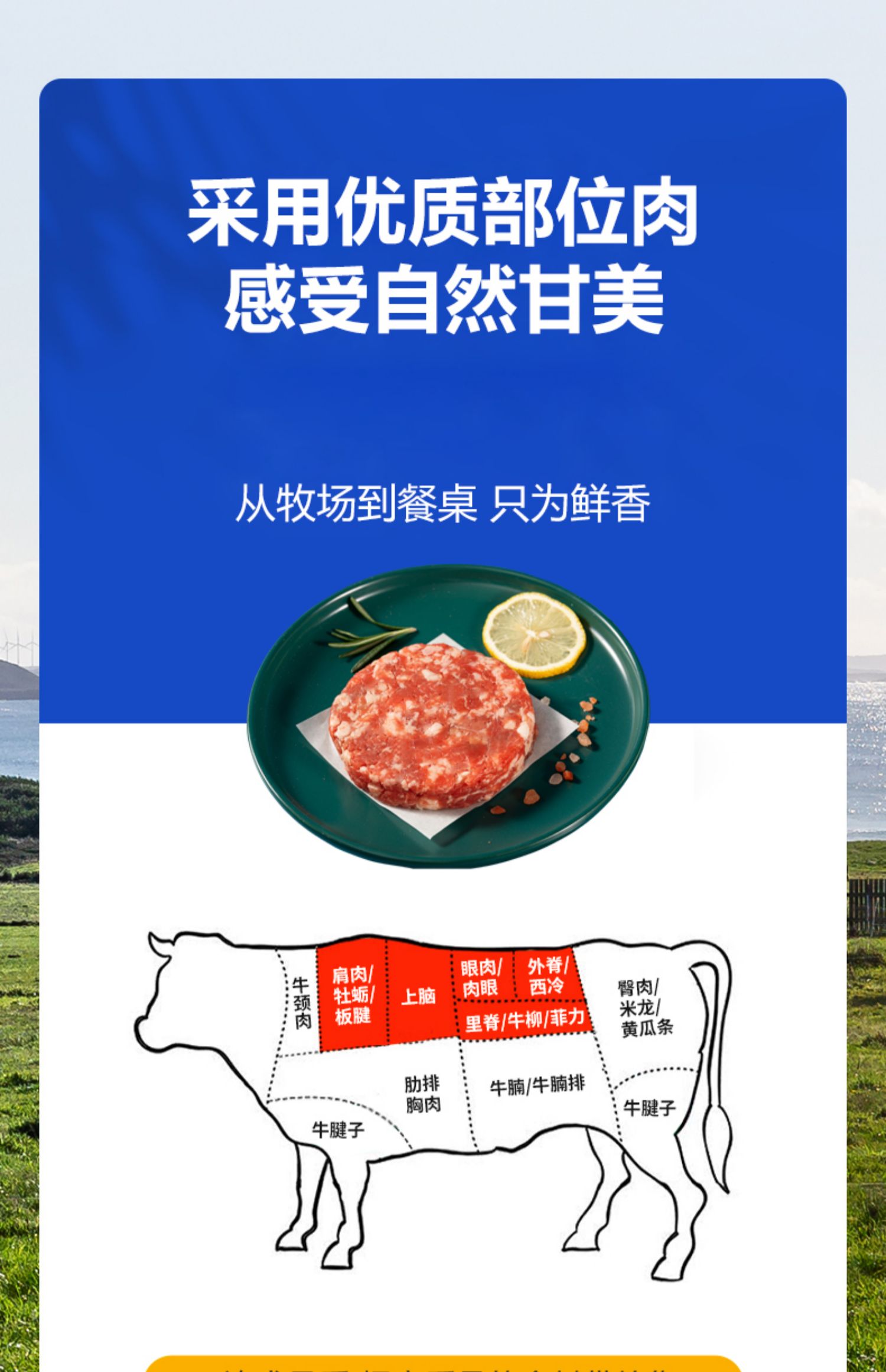 【闲功夫】和牛牛肉汉堡肉饼100g*3