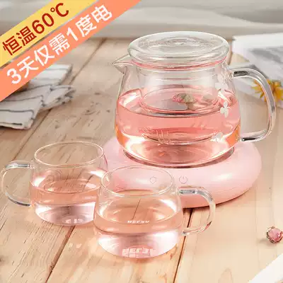 Biological bubble teapot creative glass teapot set high temperature resistant household Filter Kettle thermostatic treasure set
