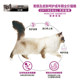 Guanneng Gastrointestinal cat ອາຫານຜູ້ໃຫຍ່ Cat Indoor Ragdoll Cat Care and Beautification Anti-Soft Feses Full Price Food