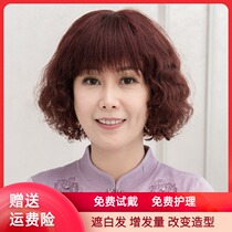 True hair wig female short send mother fluffy natural short curly hair type middle-aged and elderly short hair wig set natural breathable