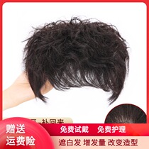 Wig female short hair short curly hair bangs wig female natural fluffy head curly hair film cover white hair replacement amount