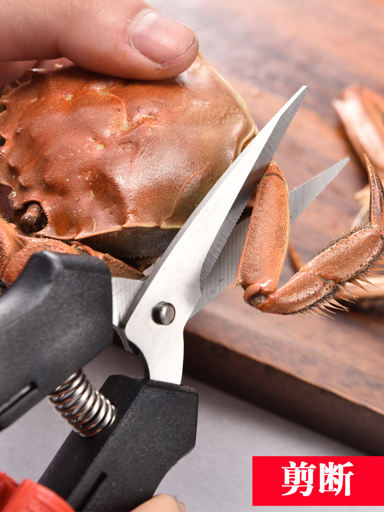 Crab eight pieces eat crab special tools Household crab peeling pliers clip artifact Remove crab scissors Eat crab Hairy crab