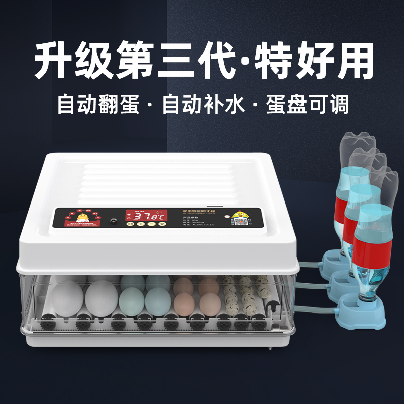 Incubator small household egg incubator water bed rutin incubator chick quail parrot bird egg mini incubator