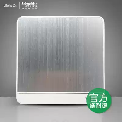 Schneider switch socket still brushed aluminum silver white single-open single-control metal panel concealed 86 type industrial wind