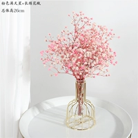 Порошок вечной жизни полон звезд с длинной цветочной подставкой +прозрачная стеклянная бутылка