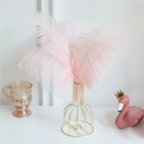 Ins feng rabbit хвост сухой цветок