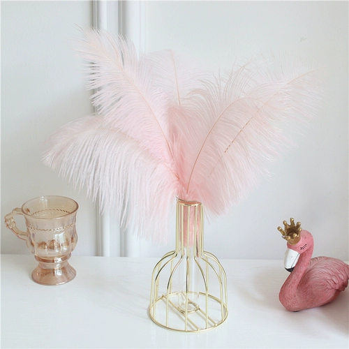 Ins feng rabbit хвост сухой цветок