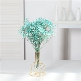 Ins feng rabbit хвост сухой цветок