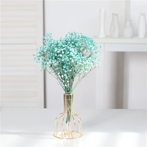 Ins feng rabbit хвост сухой цветок