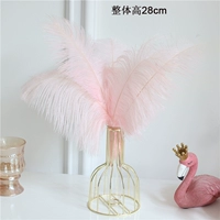 5 Легкие порошковые волосы верблюжьей птицы содержит длинную цветочную подставку +прозрачную стеклянную бутылку