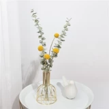 Ins feng rabbit хвост сухой цветок