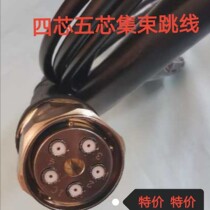 Cluster jumper 4 core 5 core 0 5m cluster antenna jumper four core five core 0 5m RRU cluster jumper