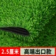 2,5 см. Экспортная модель высоты травы [50 квадратных метров]