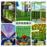 Моделирование забора Подъем горного тигрового растения на открытом воздухе Потолочный цветочные виноградные зеленые растения перегородка уродливые ротантные ландшафтные декоративные листья