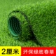 2 см. Экологически чистая трава зеленого нижнего пружины (шириной 1 метр и 2 метра) 2 рисунки