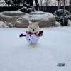 [Winter Dog Coat]Puppy Snowman Coat Little Reindeer Outfit Small Dog Outdoor Cute Warm Decoration