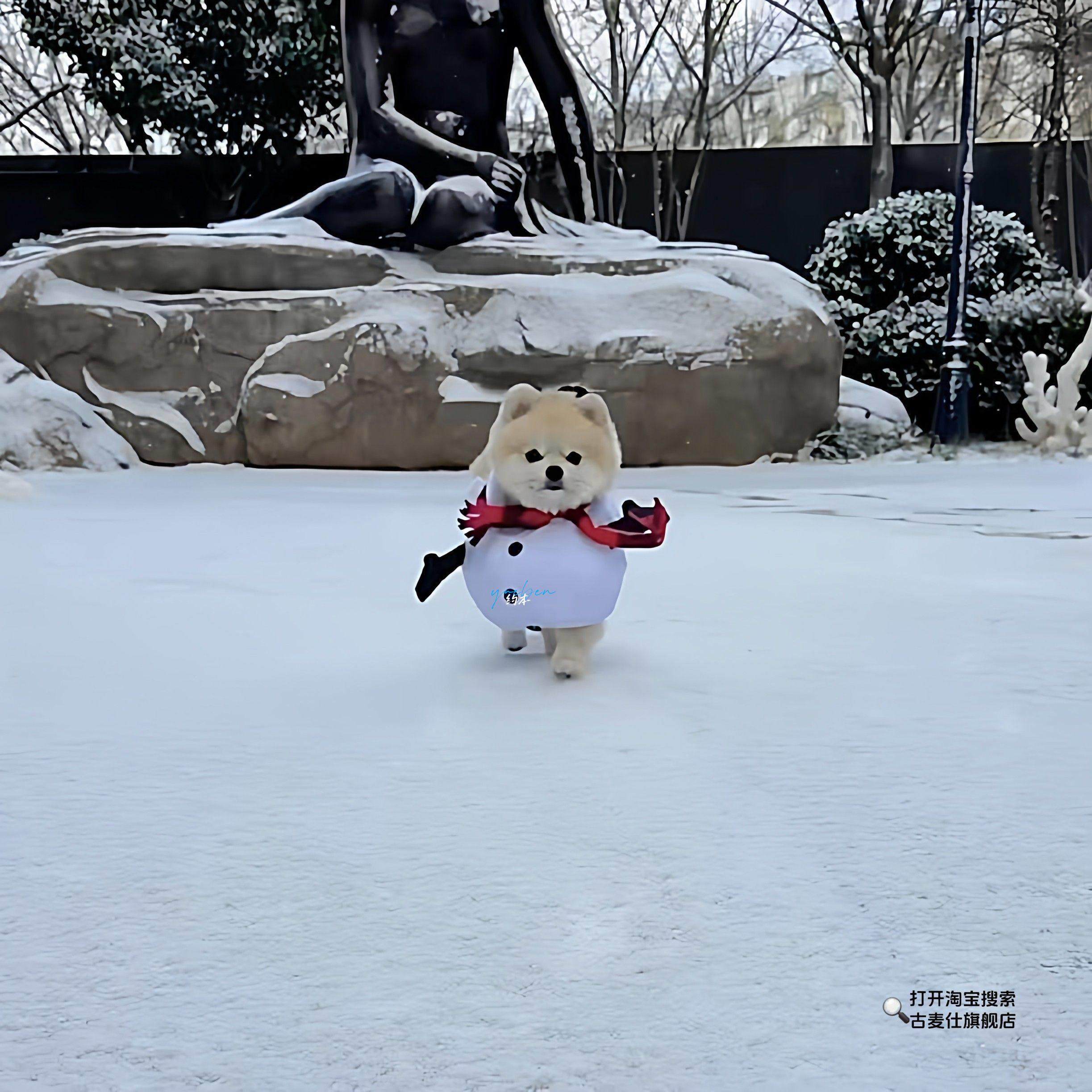 [Winter Dog Coat]Puppy Snowman Coat Little Reindeer Outfit Small Dog Outdoor Cute Warm Decoration