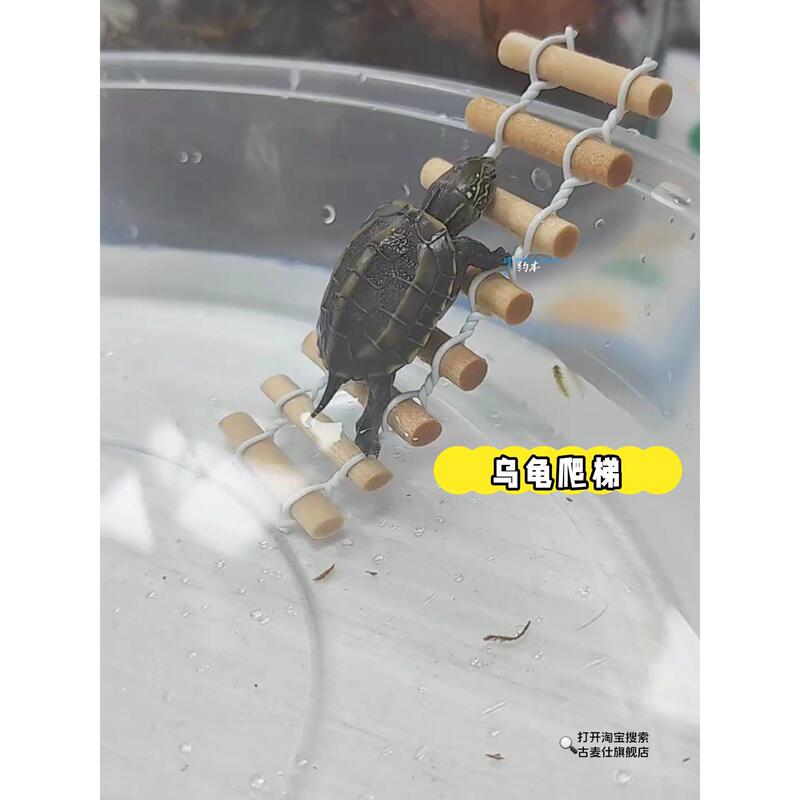 Turtle Climbing Ladder Sunbathing Platform Brazilian Turtle Nesting Deep-Water Lizard Spider Reptile Basking Platform Universal Di