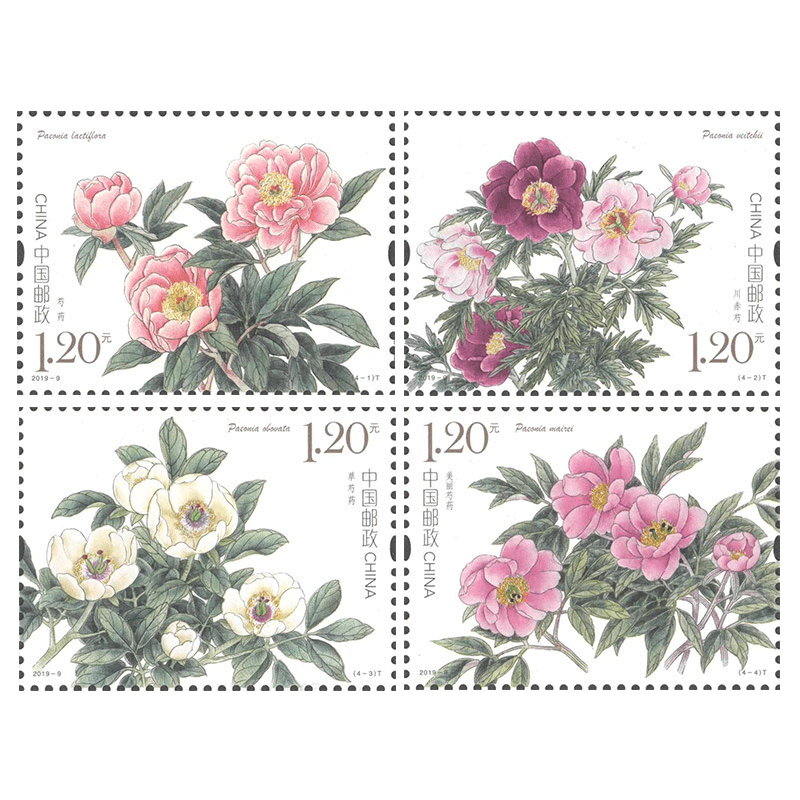 Collection of the world's 2019-9 