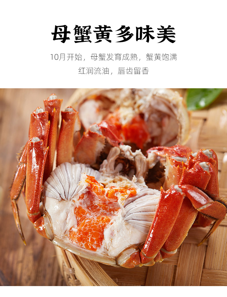 产地直供，共8只 四记联洋 鲜活大闸蟹礼盒 公3.3两母2.3两 99元包邮 值值值-买手聚集的地方