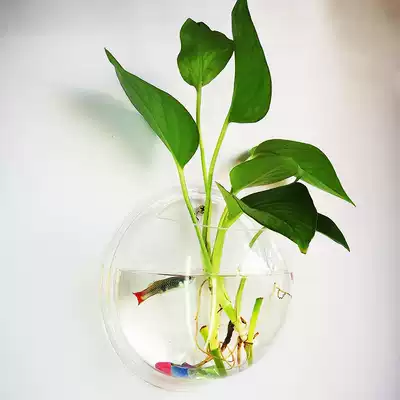 Aquatic flower Flower Flower machine simulation flower hydroponic vase green plant flower pot living room flower device hydroponic wall vase
