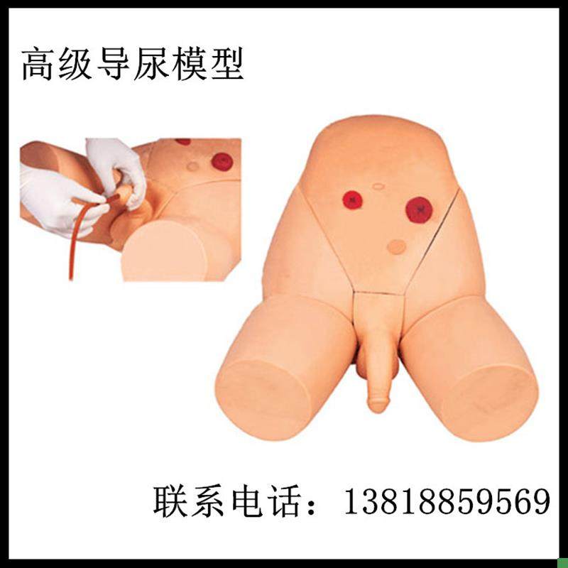 Interchangeable Male and Female Catheterization Model, Catheterization Training Model, Lower Body Model, X External Genital Organ Module