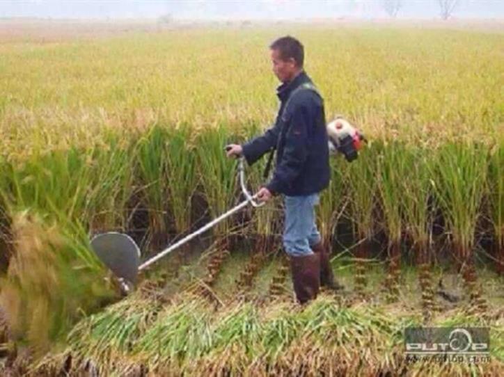 Single-line wheat portable strap lawner grass rice cutting machine paddy field bush personality hand-held corn