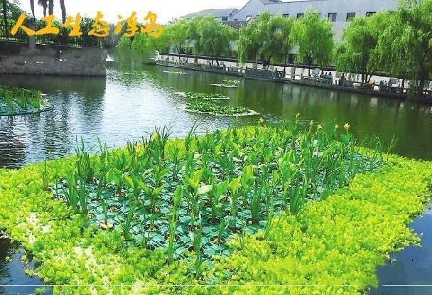 Rice Water Planting Floating Bed Vegetable Species Vegetable Water Breeding Pond Flower And Grass Water Quality Water View Park Water Plowing River Noodles