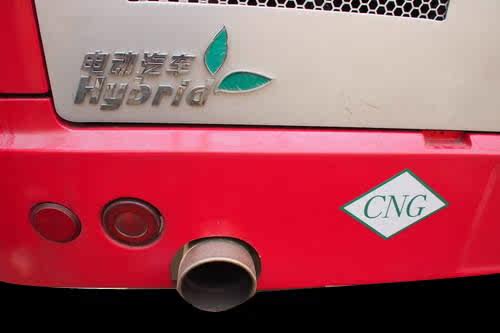 Déco pour vélo - Ref 2276331 Image 6