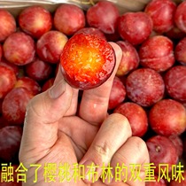 Lush farm Chilean cherry Li 5 catty original box Fresh imported red plum fruit Shunfeng