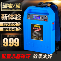 New lithium battery all-in-one machine 199V complete set of energy high power large capacity long endurance power storage outdoor device inverter