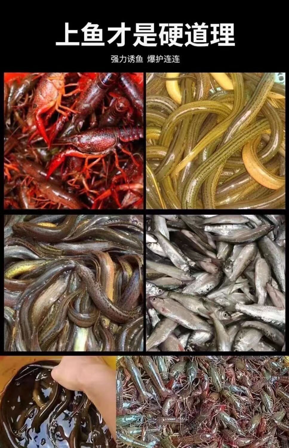 鱼王户外