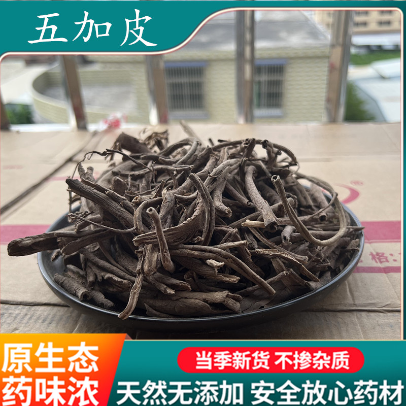 3 Pieces of Wild Wujiapi 500g Nanwujiapi Wugupi Bubble Wine Ingredients Chinese Herbal Medicine Purchase and Supply